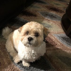 Meet your Posher, Ana